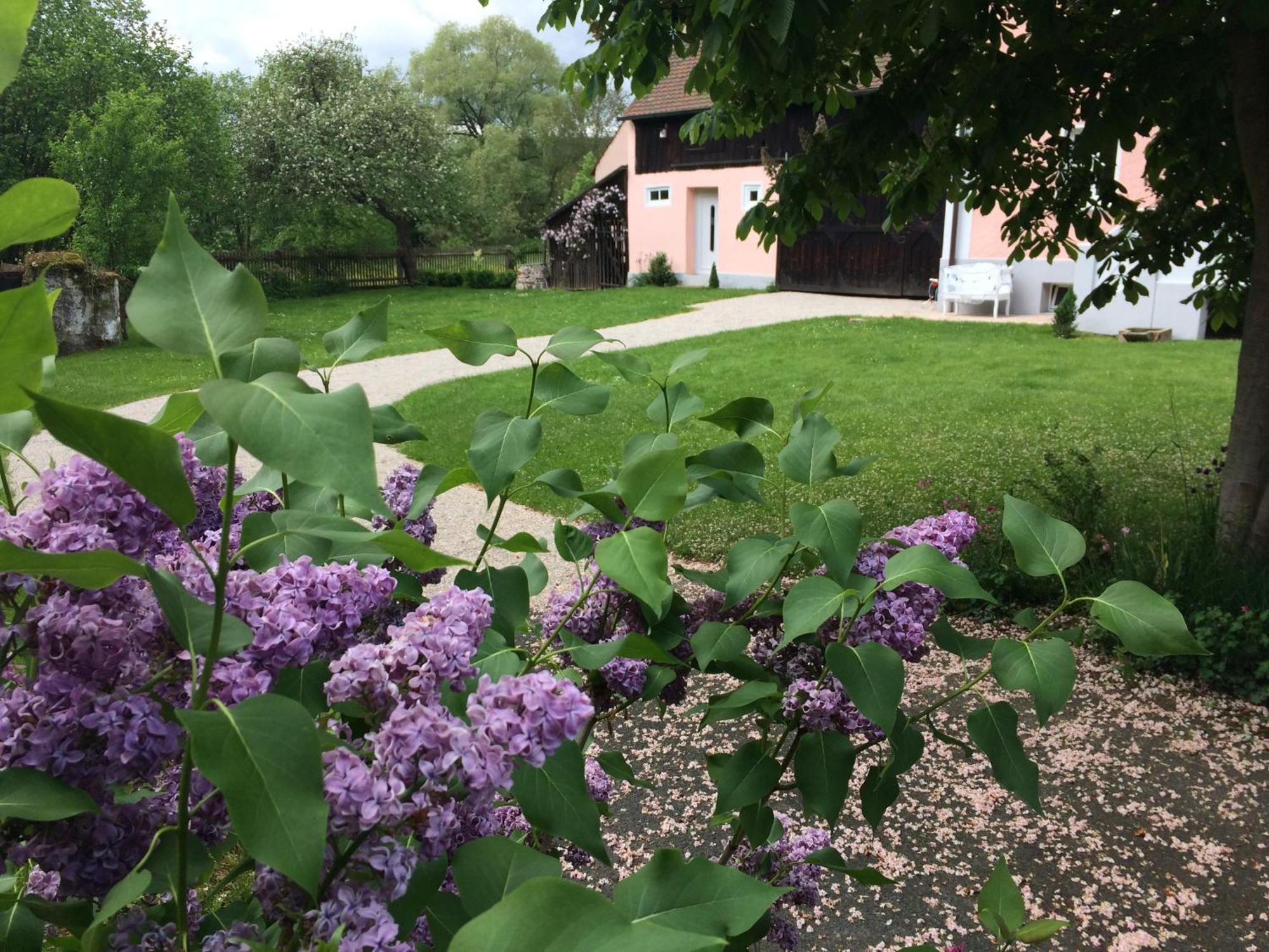 Landhaus Am Schloss Schnabelwaid Esterno foto